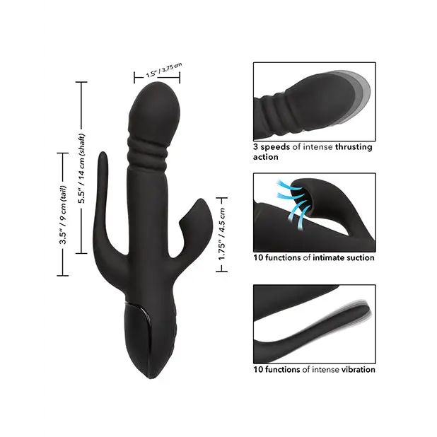 III Triple Euphoria - Vibrators