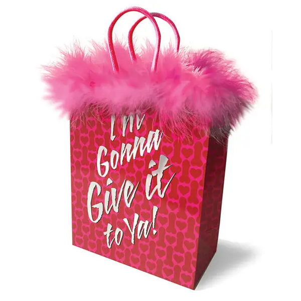 I’m Gonna Give it to Ya! Gift Bag - Bachelorette & Party Supplies