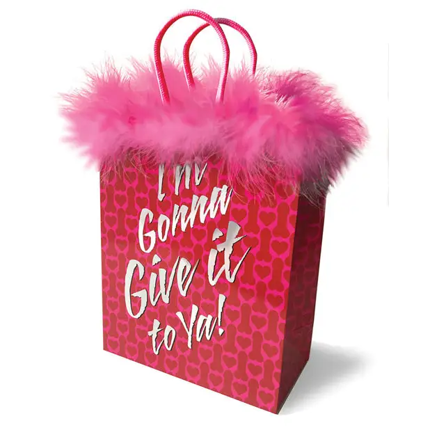 I’m Gonna Give it to Ya! Gift Bag - Bachelorette & Party Supplies