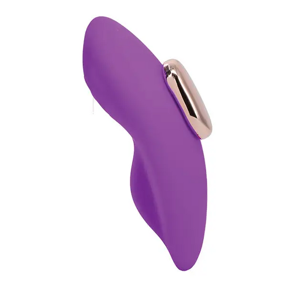 In A Bag Panty Vibe w/Remote - Purple