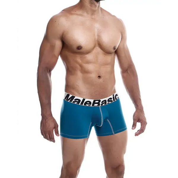 Male Basics Performance Boxer Emerald LG - Lingerie - Packaged