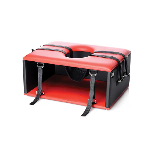 Master Series Queening Chair - Bondage Blindfolds & Restraints