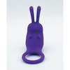 Natalie’s Toy Box The Cock Hopper Cock Ring & Bullet Vibrator - Purple - Penis Enhancement