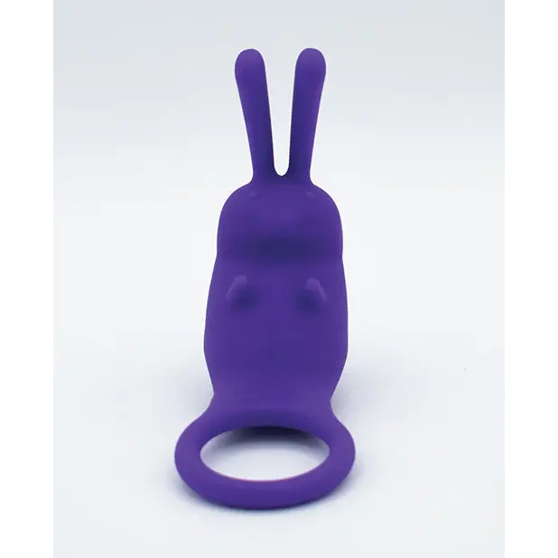 Natalie’s Toy Box The Cock Hopper Cock Ring & Bullet Vibrator - Purple - Penis Enhancement
