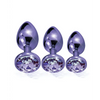 Nixie Metal Butt Plug Trainer Set w/Inlaid Jewel - Purple Metallic - Anal Products
