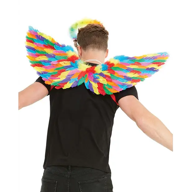 NO ETA=Rainbow Small Feather Wings - Gay & Lesbian Products