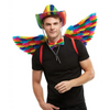 NO ETA=Rainbow Small Feather Wings - Gay & Lesbian Products