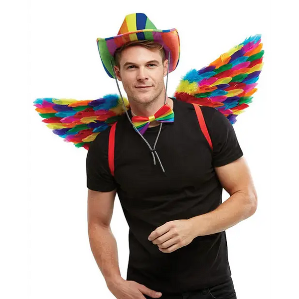 NO ETA=Rainbow Small Feather Wings - Gay & Lesbian Products
