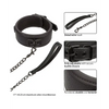 Nocturnal Collection Detachable Collar & Leash - Black - Bondage Blindfolds & Restraints
