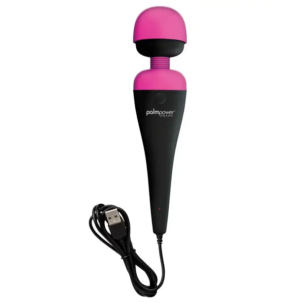 Palm Power Plug & Play - Massage Products