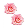 Pastease Premium Glitter Velvet Blooming Rose - Pink O/S - Lingerie - Packaged