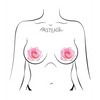 Pastease Premium Glitter Velvet Blooming Rose - Pink O/S - Lingerie - Packaged