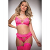 Pinklicious Bra Top High Waist Hip Hugger Garter Panty Love Me Pink O/S - Lingerie - Packaged