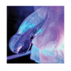 Play Wiv Me Huge Penis Ice Luge - Bachelorette & Party Supplies