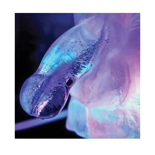 Play Wiv Me Huge Penis Ice Luge - Bachelorette & Party Supplies