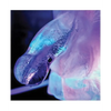 Play Wiv Me Huge Penis Ice Luge - Bachelorette & Party Supplies