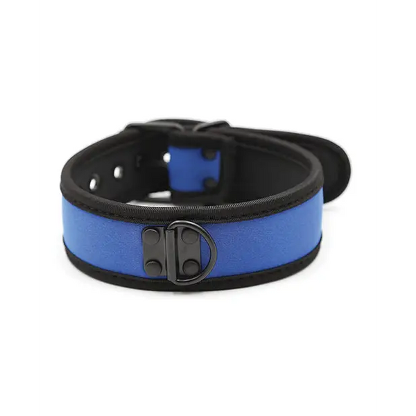 Plesur Neoprene Puppy Collar - Blue - Bondage Blindfolds & Restraints