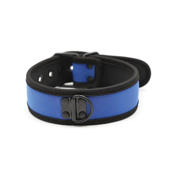 Plesur Neoprene Puppy Collar - Blue - Bondage Blindfolds & Restraints