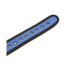 Plesur Neoprene Puppy Collar - Blue - Bondage Blindfolds & Restraints