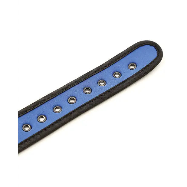 Plesur Neoprene Puppy Collar - Blue - Bondage Blindfolds & Restraints