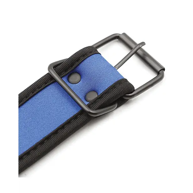 Plesur Neoprene Puppy Collar - Blue - Bondage Blindfolds & Restraints