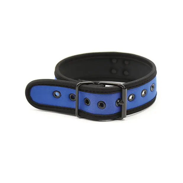 Plesur Neoprene Puppy Collar - Blue - Bondage Blindfolds & Restraints