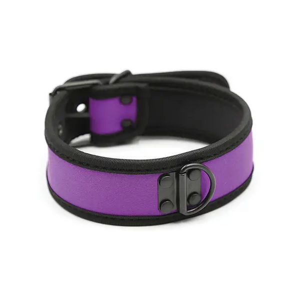Plesur Neoprene Puppy Collar - Purple - Bondage Blindfolds & Restraints