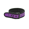 Plesur Neoprene Puppy Collar - Purple - Bondage Blindfolds & Restraints