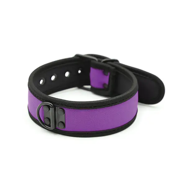 Plesur Neoprene Puppy Collar - Purple - Bondage Blindfolds & Restraints
