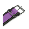 Plesur Neoprene Puppy Collar - Purple - Bondage Blindfolds & Restraints