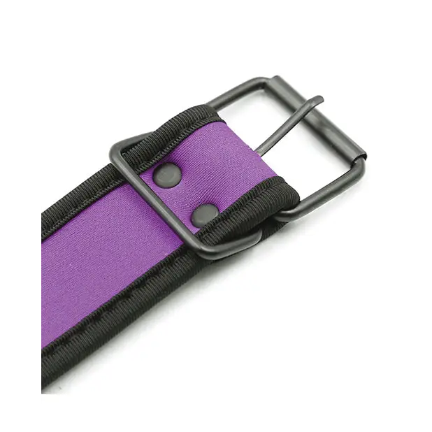 Plesur Neoprene Puppy Collar - Purple - Bondage Blindfolds & Restraints
