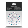 Pretty Pasties Charm II - Blue - Lingerie - Packaged
