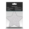 Pretty Pasties Glitter Stars Red/Silver - 2 Pair - Lingerie - Packaged