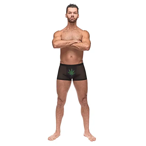 Private Screening Micro Mesh & Modal Pot Leaf Black SM - Lingerie - Packaged