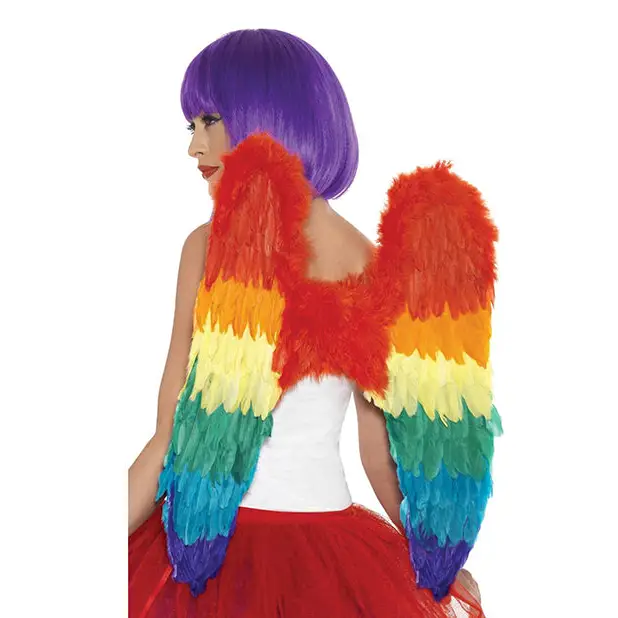 Rainbow Large Feather Wings - Gay & Lesbian Products