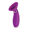 Seduction Suction Clitoral Stimulator - Stimulators