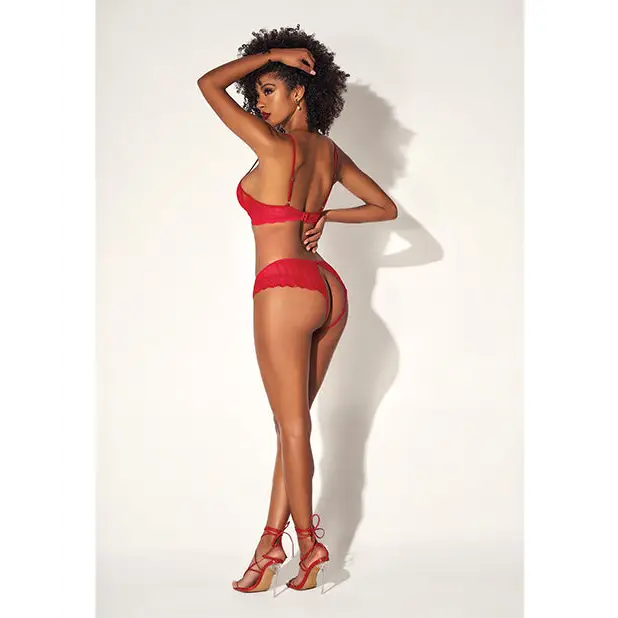 Shadow Stripe Underwire Top w/Heart Detail & Crotchless Bottom Red S/M - Lingerie - Packaged