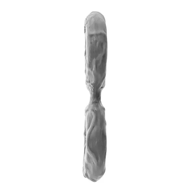 Shaft Double C-Ring - Small Gray - Penis Enhancement