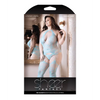 Sheer Fantasy Halter Neck Floral Lace Gartered Bodystocking & Panty Light Blue QN