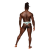 Sheer Prints Mesh Poly Spandex Thong Flamingo L/XL