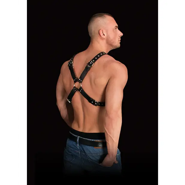 Shots Ouch Adonis High Halter, Black