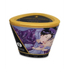 Shunga Massage Candle Libido, 5.7 oz Exotic Fruits