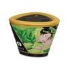 Shunga Massage Candle Zenitude, 5.7 oz Exotic Green Tea