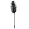 Sportsheets Body Tickler Ostrich Feather - Black - Bondage Blindfolds & Restraints