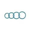 Sportsheets O Ring 4 Pack, Turquoise