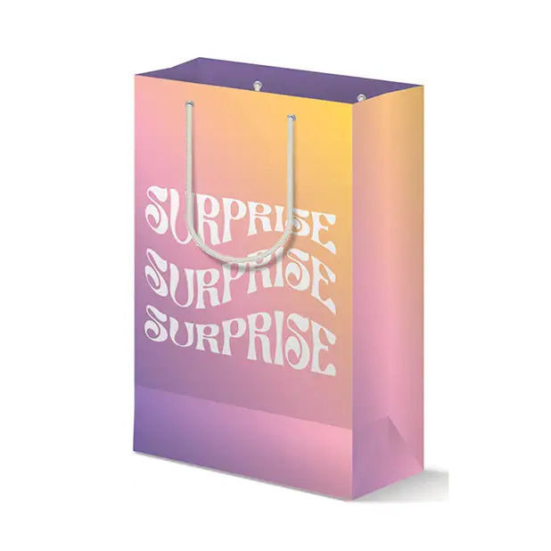 Surprise Gift Bag