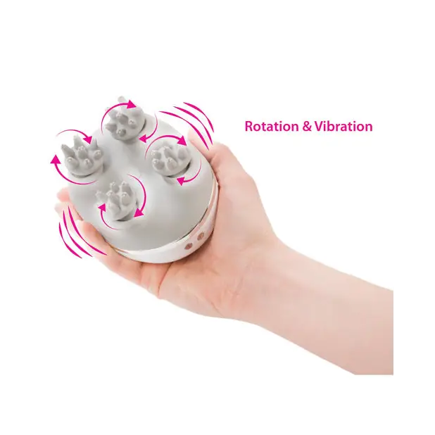 Swan Personal Massage System