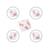 Tempt & Tease Dice