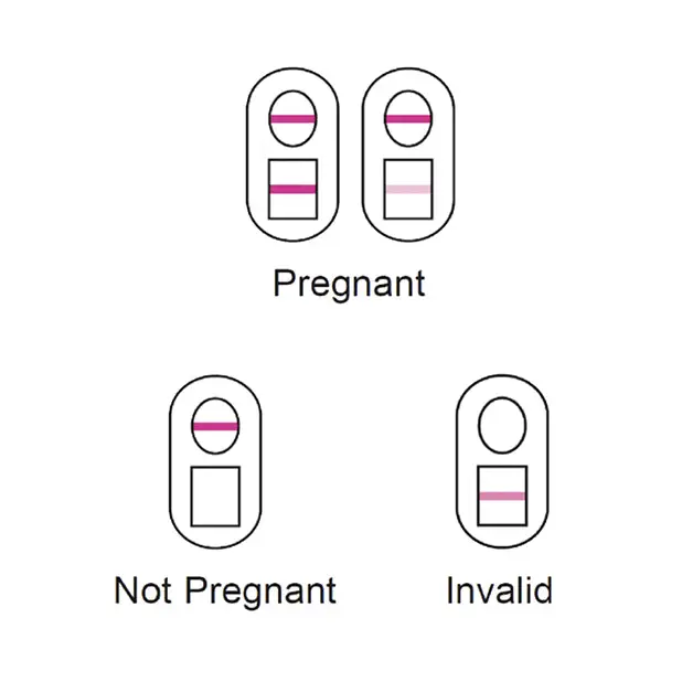Versea EasyLab Pregnancy Test - Condoms