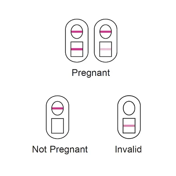 Versea EasyLab Pregnancy Test, Pack of 2